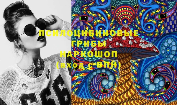мдпв Богородицк