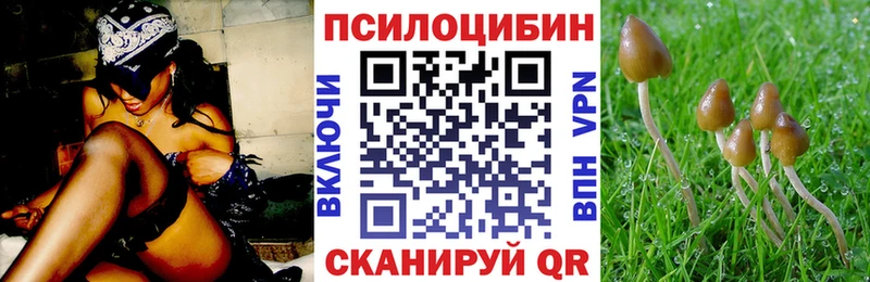 Псилоцибиновые грибы Magic Shrooms  Чёрмоз 