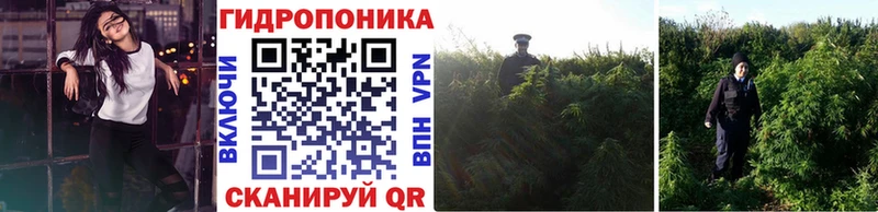 Шишки марихуана ГИДРОПОН  Чёрмоз 